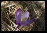 Bucegi -12-05-2012 - Bogdan Balaban
