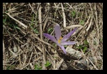 Bucegi -12-05-2012 - Bogdan Balaban