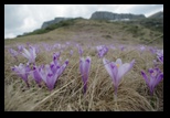 Bucegi -12-05-2012 - Bogdan Balaban