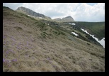 Bucegi -12-05-2012 - Bogdan Balaban