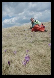 Bucegi -12-05-2012 - Bogdan Balaban