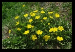 Bucegi -12-05-2012 - Bogdan Balaban