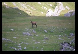 Bucegi -19-08-2018 - Bogdan Balaban