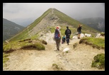 Bucegi -31-07-2016 - Bogdan Balaban