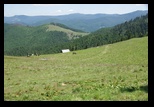 Calimani -05-07-2014 - Bogdan Balaban
