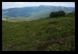 Calimani -05-07-2014 - Bogdan Balaban