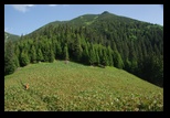 Calimani -05-07-2014 - Bogdan Balaban