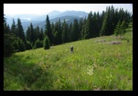 Calimani -05-07-2014 - Bogdan Balaban