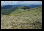 Capatanii -iunie-2013 - Bogdan Balaban