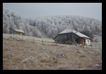 Ciocanu - Table - Sirnea -12-11-2011 - Bogdan Balaban