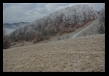 Ciocanu - Table - Sirnea -12-11-2011 - Bogdan Balaban