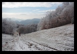 Ciocanu - Table - Sirnea -12-11-2011 - Bogdan Balaban