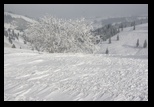 Ciuc -01-12-2014 - Bogdan Balaban