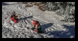Ciucas -16-01-2022 - Bogdan Balaban