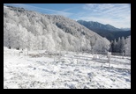 Ciucas -31-11-2013 - Bogdan Balaban