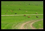 Codlea -02-06-2012 - Bogdan Balaban