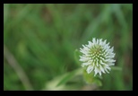 Codlea -02-06-2012 - Bogdan Balaban