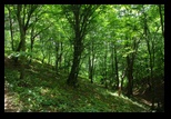 Codlea -02-06-2012 - Bogdan Balaban