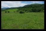 Codlea -02-06-2012 - Bogdan Balaban