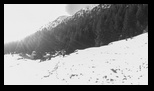 Fagaras - Valea Simbetei -29-01-2017 - Bogdan Balaban