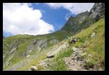 Fagaras -august-2016 - Bogdan Balaban