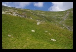 Fagaras -august-2016 - Bogdan Balaban
