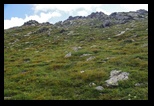 Fagaras -august-2016 - Bogdan Balaban