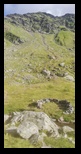 Fagaras -august-2021 - Bogdan Balaban