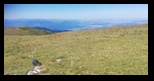 Fagaras -august-2021 - Bogdan Balaban