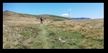 Fagaras -august-2021 - Bogdan Balaban