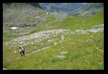 Fagaras -iulie-2017 - Bogdan Balaban