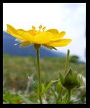 Fagaras -iunie-2009 - Bogdan Balaban