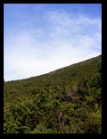 Fagaras -iunie-2009 - Bogdan Balaban