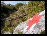 Fagaras -iunie-2009 - Bogdan Balaban