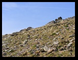 Fagaras -iunie-2009 - Bogdan Balaban