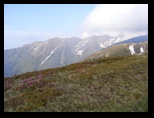 Fagaras -iunie-2009 - Bogdan Balaban