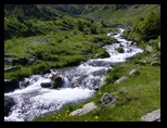 Fagaras -iunie-2009 - Bogdan Balaban