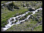Fagaras -iunie-2009 - Bogdan Balaban