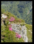 Fagaras -iunie-2009 - Bogdan Balaban