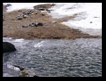 Fagaras -iunie-2009 - Bogdan Balaban