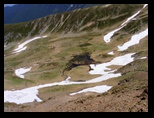 Fagaras -iunie-2009 - Bogdan Balaban