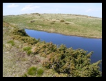 Fagaras -iunie-2009 - Bogdan Balaban