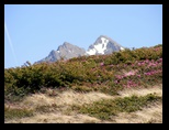 Fagaras -iunie-2009 - Bogdan Balaban