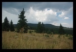 Harghita -august-2012 - Bogdan Balaban