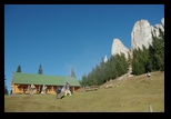 Hasmas -21-11-2010 - Bogdan Balaban