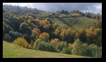 Holbav -12-10-2025 - Bogdan Balaban