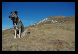 Iezer - Papusa -23-09-2012 - Bogdan Balaban