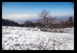 Intorsurii -14-01-2018 - Bogdan Balaban