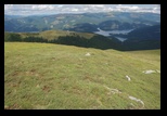 Latoritei -17-08-2014 - Bogdan Balaban