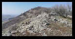 Macin - Priopcea -27-03-2021 - Bogdan Balaban
